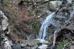 Placerita Creek Waterfall Trail
