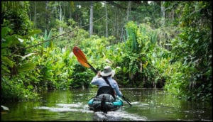 Explore Amazon Forest Tour