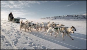 Greenland Dogsledding Winter Adventure