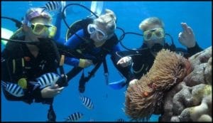 Scuba Dive Barrier Reef
