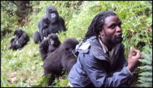 Rwanda Gorillas Experience Summer Adventure
