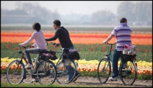 Tulip Ride Netherlands