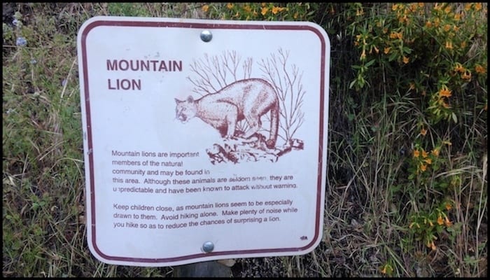 Moutain Lion Warning on the Hiking Trail | AdventureHacks