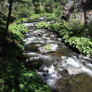 Squaw Valley Creek Hiking Trail