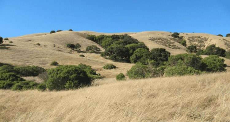 About San Marin Fire Road - Mount Burdell Open Space Preserve