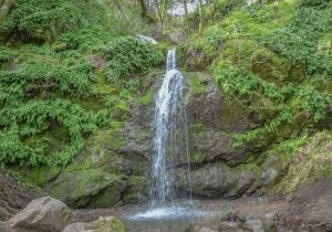Fairway Falls in Novato