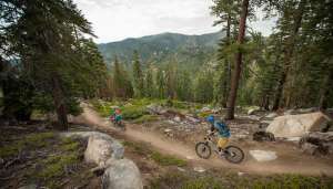 Mountain Biking Tahoe Meadows To Tahoe Rim Trail