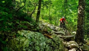 Shenandoah Mountains in Harrisonburg, Virginia Mountain Biking