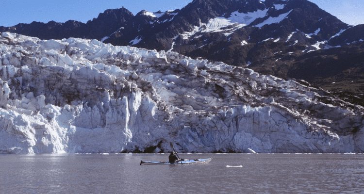 David Aston Kayaking Near Orca Whales In Alaska