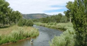 Man fly fishing with AdventureHacks Team on the Pecos River