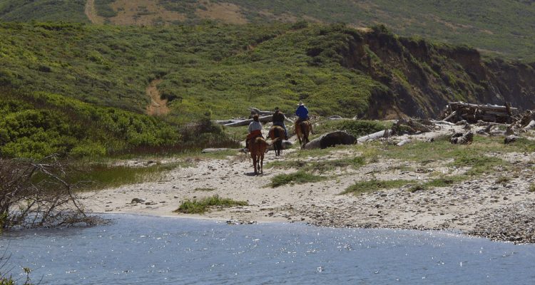 David Aston and Family enjoying a summer horseback adventure on the Northern California coast about 10 miles North of Point Reyes 