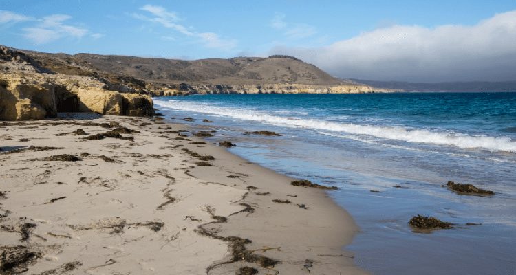 About Channel Islands National Park
