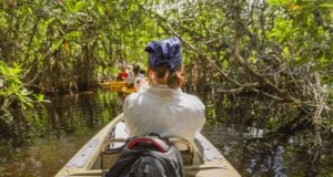 Canoe and Kayak Florida Everglades