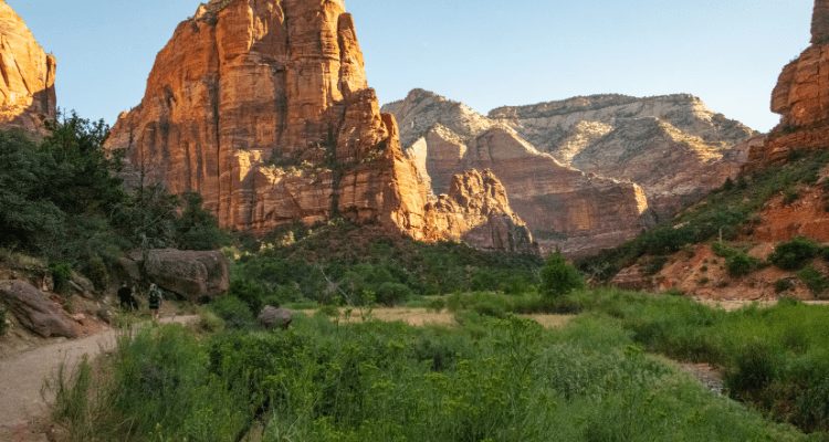 Backpacking Zion National Park 