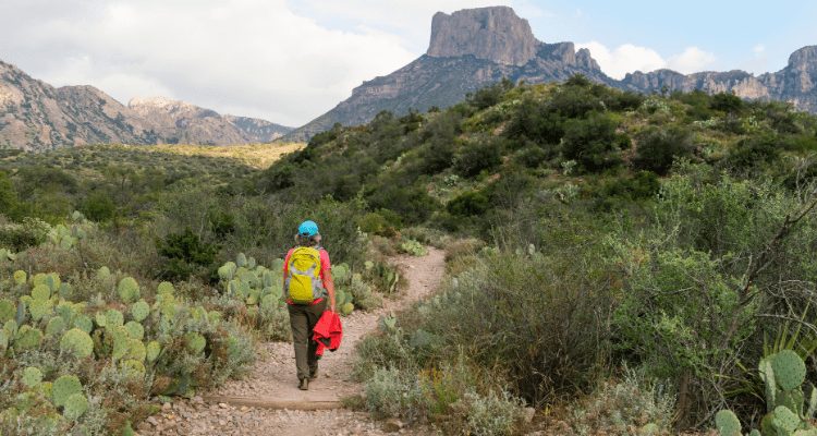hiking trails in big bend antional park