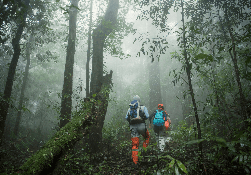 AdventureHacks team exploring the temperate rain forest in North America