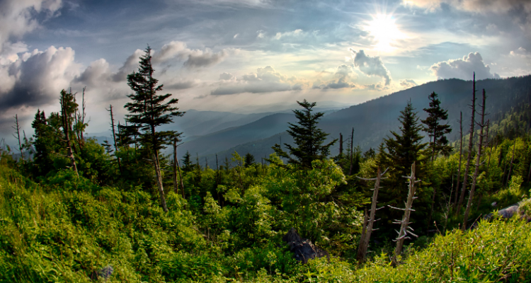 View of the Appalachian Mountains from the top of clingmans dome