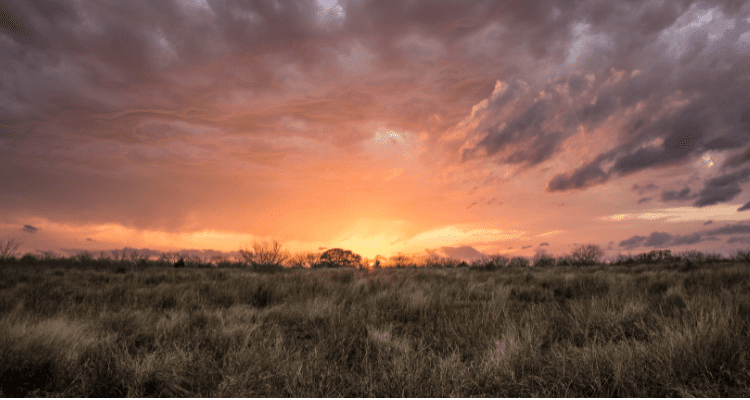 Menard Texas Hunting at Sunset