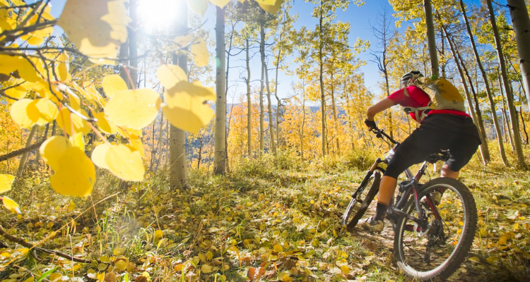Woman mountain biking through Aspen Trees near Crested Butte Colorado during autumn
