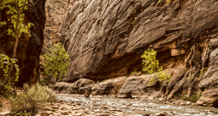 Adventure Hacks crew hiking the Zion Narrows in Zion National Park