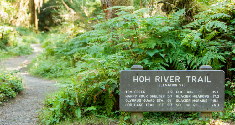 Olympic National Park: Hoh River Trail