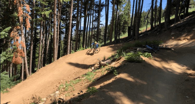 The Holy Roller Mountain Bike Trail Utah