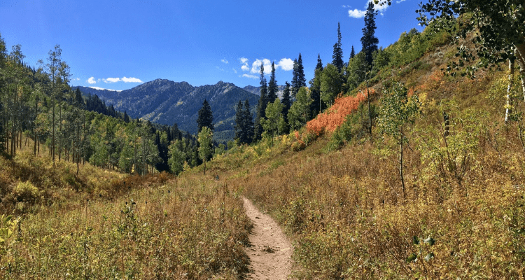 Mill D to Desolation Lake Mountain Bike / Hiking Trail
