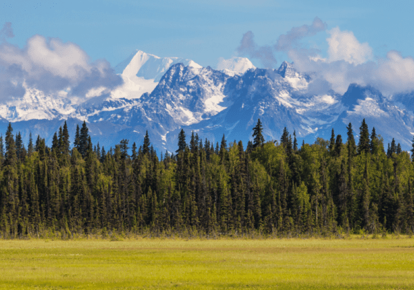 Mount Mckinley aka Denali in Alaska United States in Early Summer