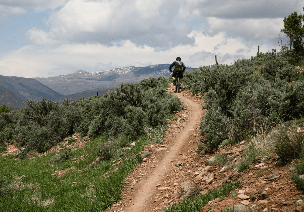 Mountain Biker Climbing A Hill On A Singletrack Near Crested Butte Colorado