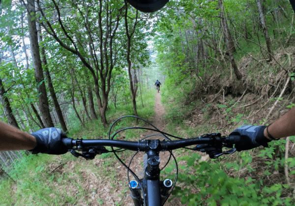 People Mountain Biking Through the Forest in Pisgah North Carolina